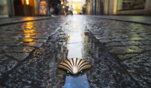 Camino De Santiago Shell - photo: DepositPhotos