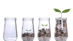 Planta care crește pas cu pas din bani simbolizează dezvoltarea financiară sustenabilă și creșterea personală obținută prin educatie financiară solidă.