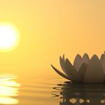 Floare de lotus zen pe fundalul apusului, simbol al calmului și mindfulness-ului