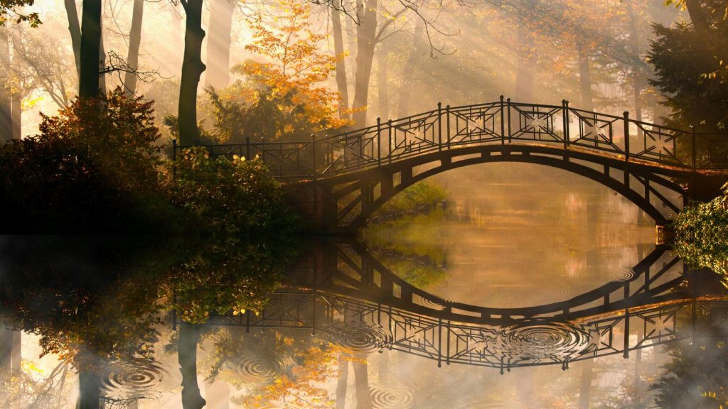 Pod vechi de toamnă înconjurat de ceață și copaci cu frunze căzute, reprezentând călătoria de gestionare a anxietății prin introspecție și conectare cu natura.
