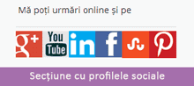 sectiune_profile_sociale